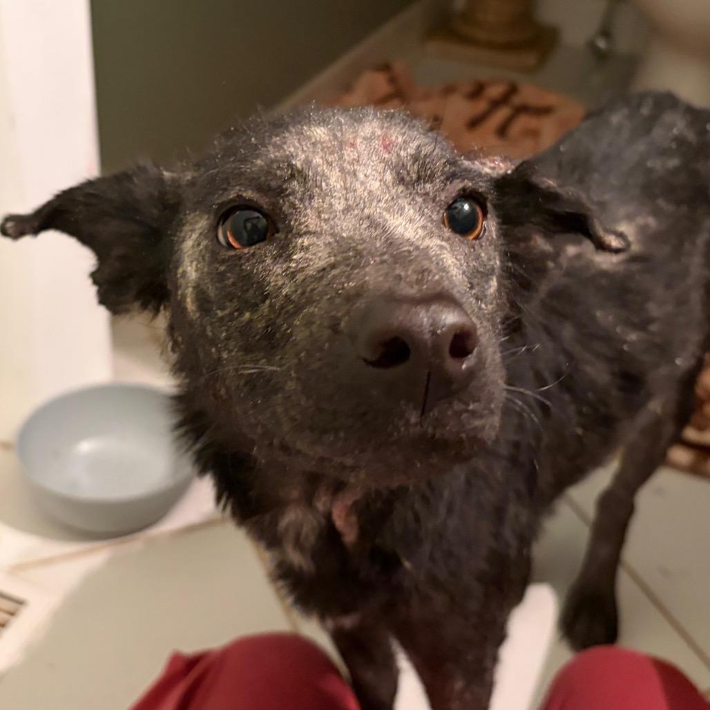 Rocky Road — thumbnail 6