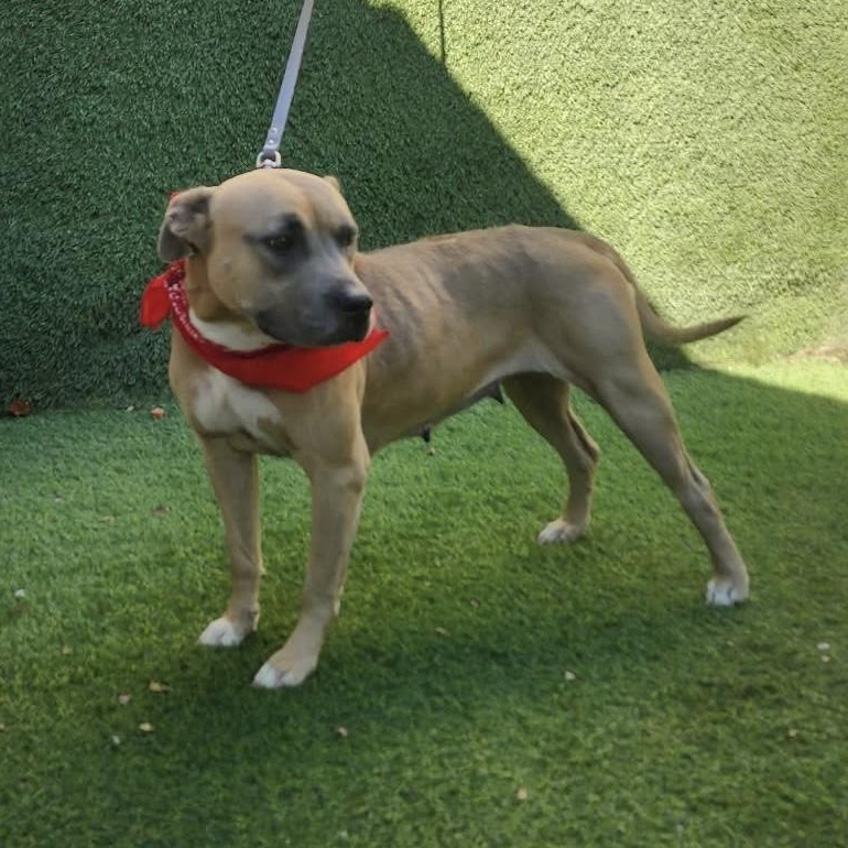 Charlene — thumbnail 2