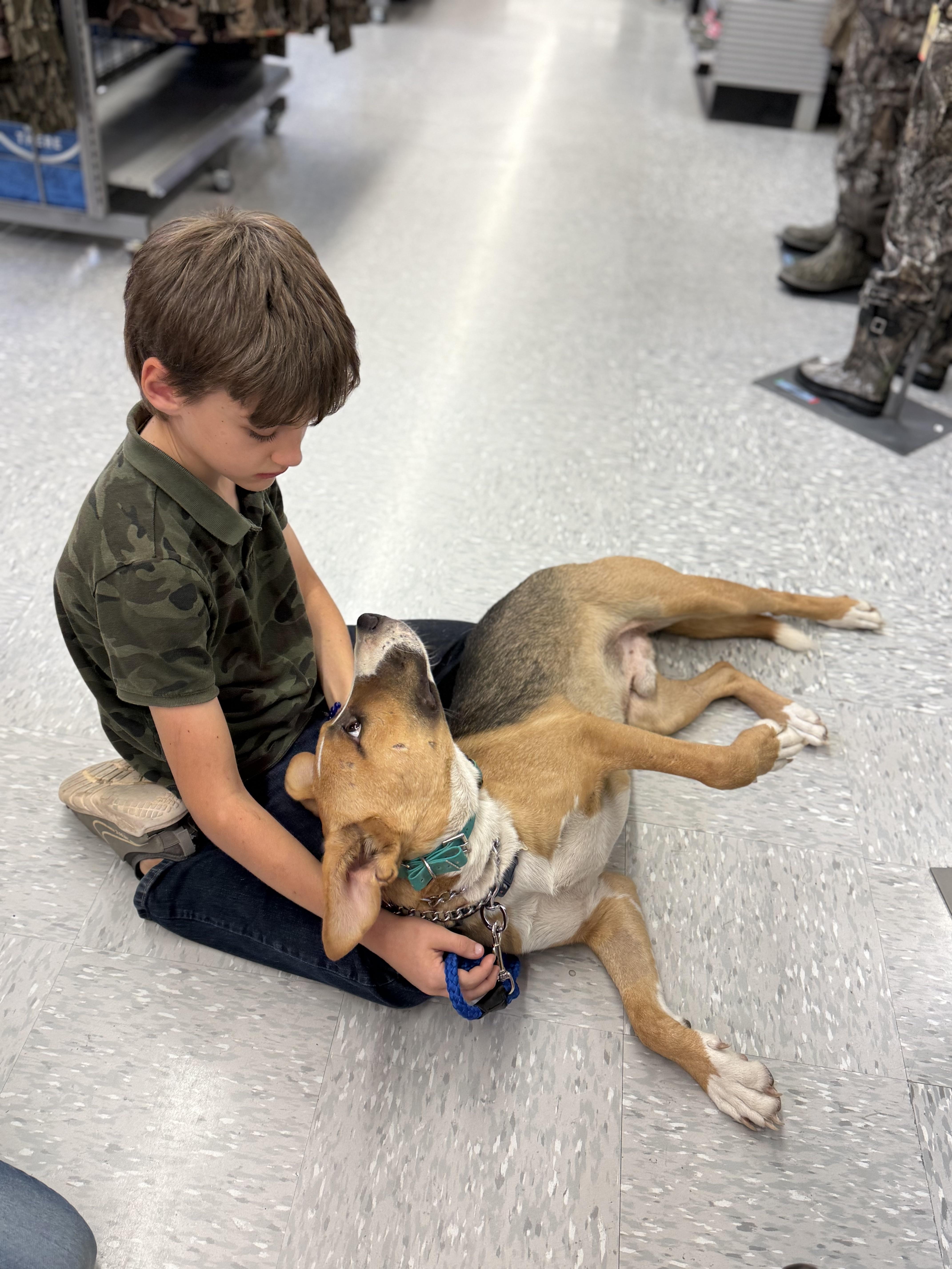 Enlarge Bjorn, a Adoptable mixed breed in Lexington, TX image 2/5