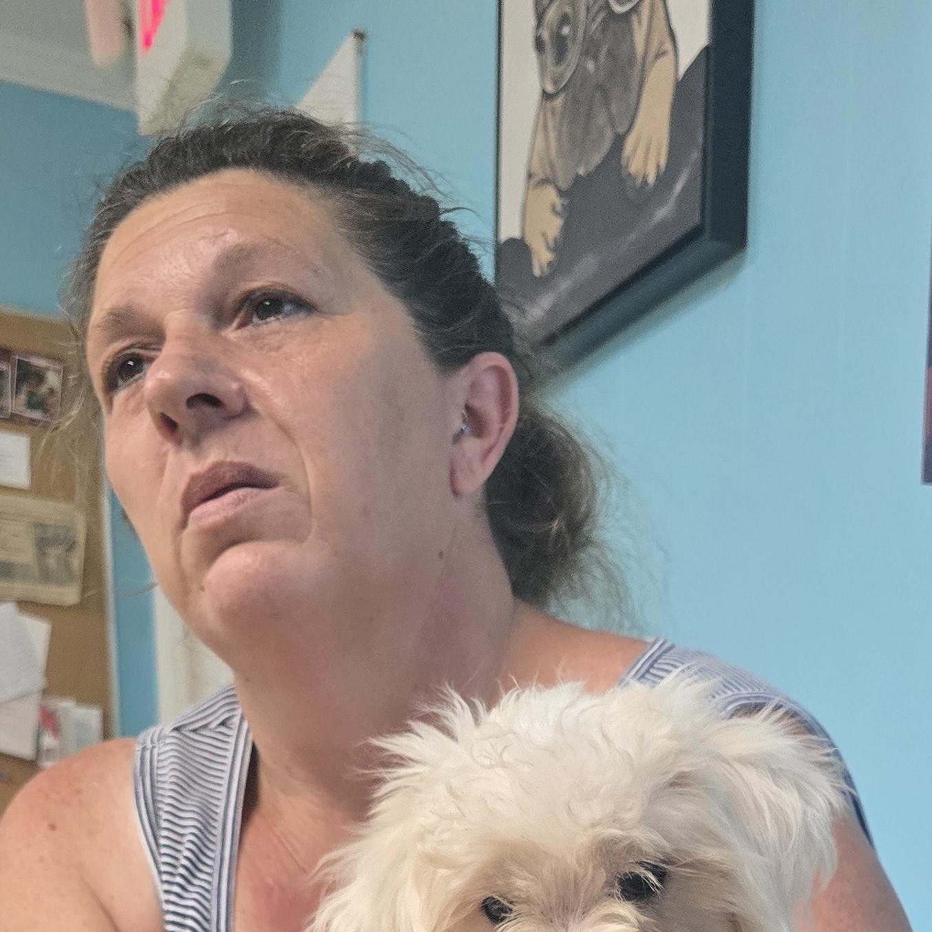Enlarge Porkchop, a Adopted mixed breed in Milledgeville, GA image 5/5