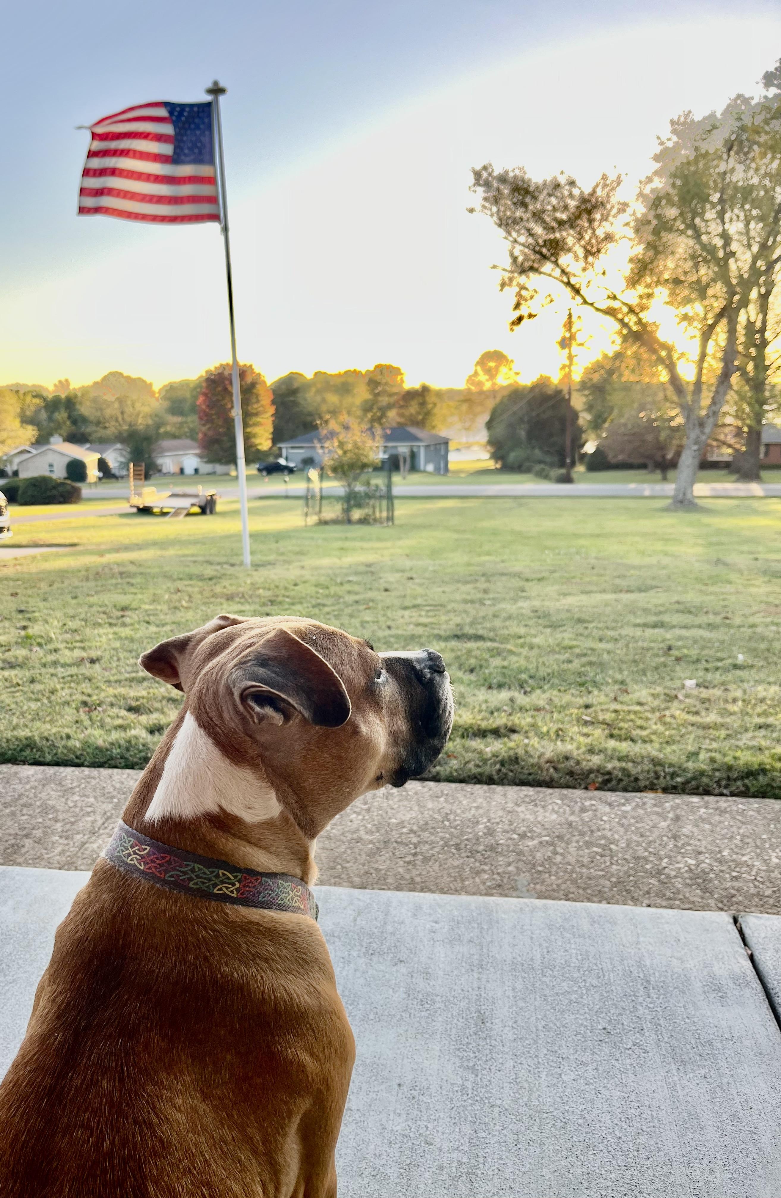 Bella - Momma Snack Cracker