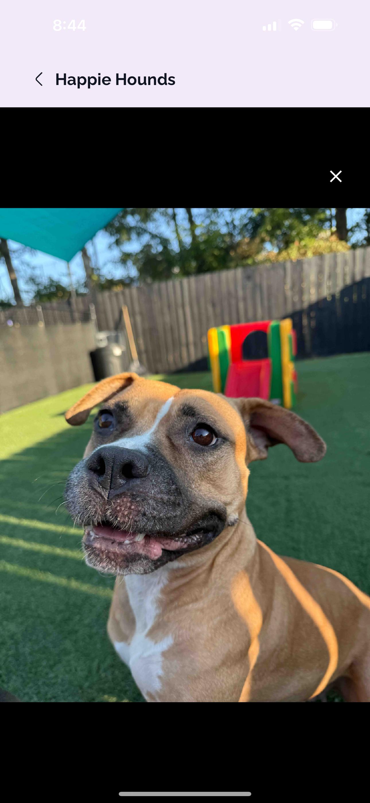 Bella - Momma Snack Cracker