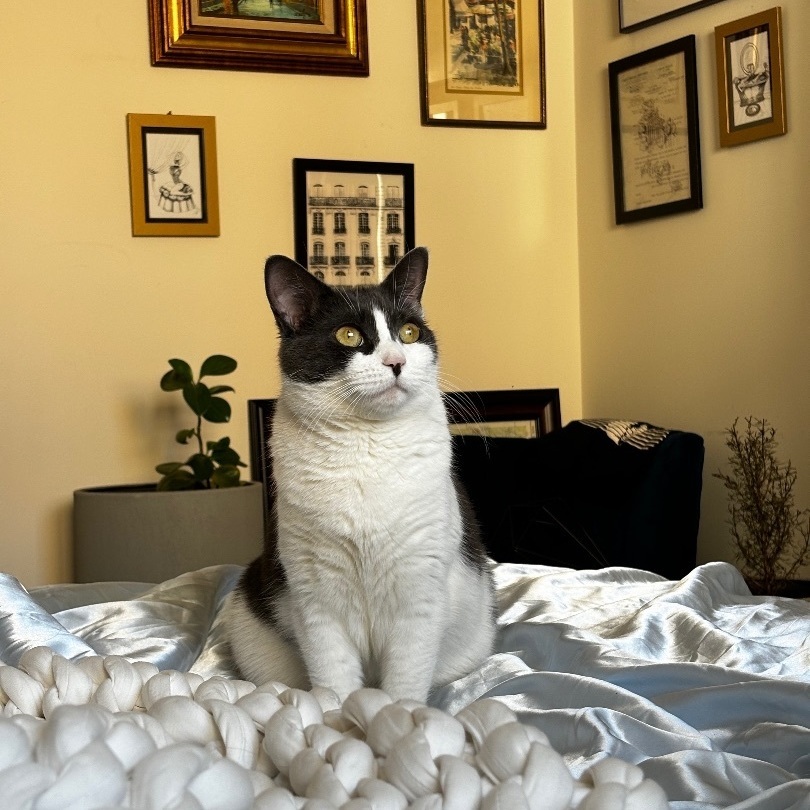 Lacuna (aka Daisy) 5