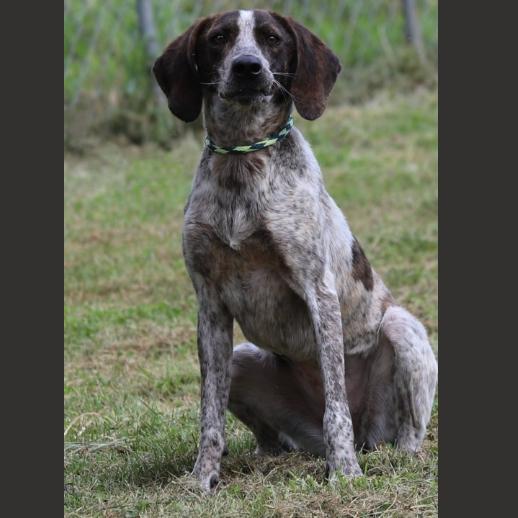 Aphrodite thumbnail 5