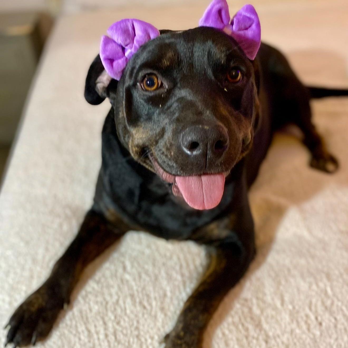 Cece — thumbnail 4