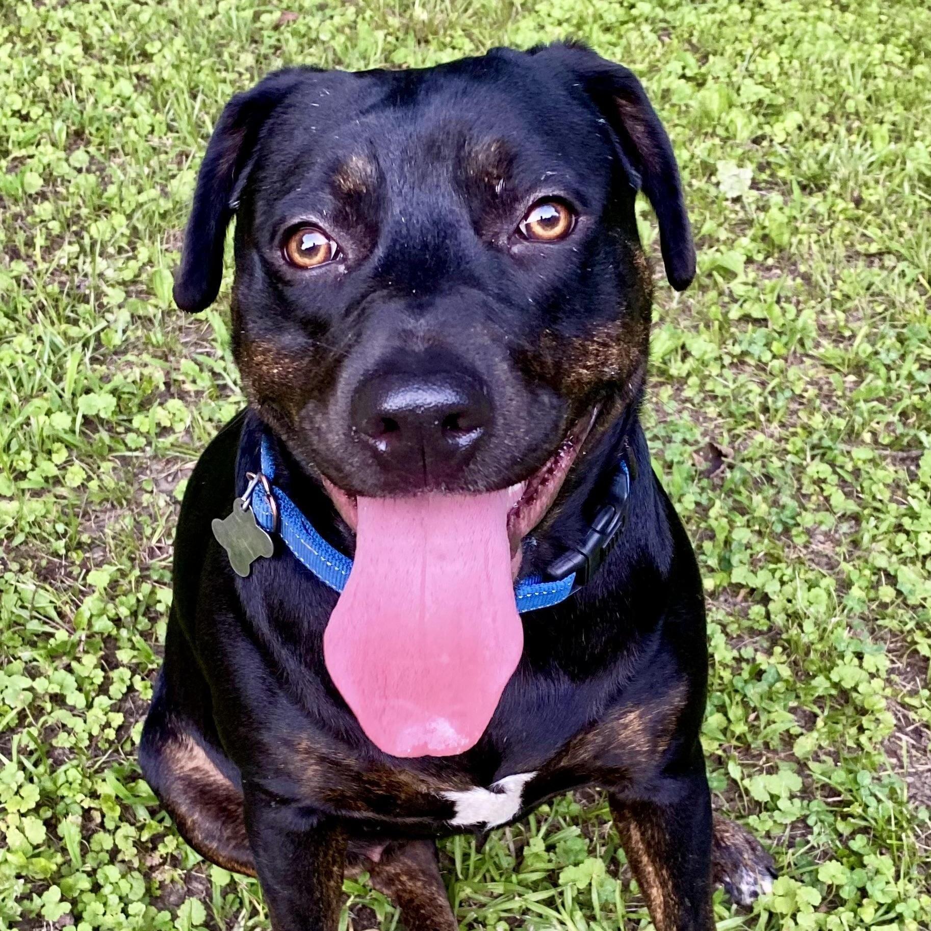 Cece — thumbnail 5