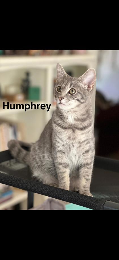 Humphrey