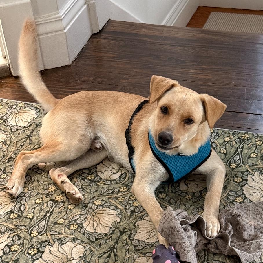 Vanilla  The Sweetest thumbnail 2