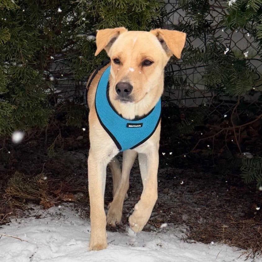 Vanilla  The Sweetest thumbnail 4