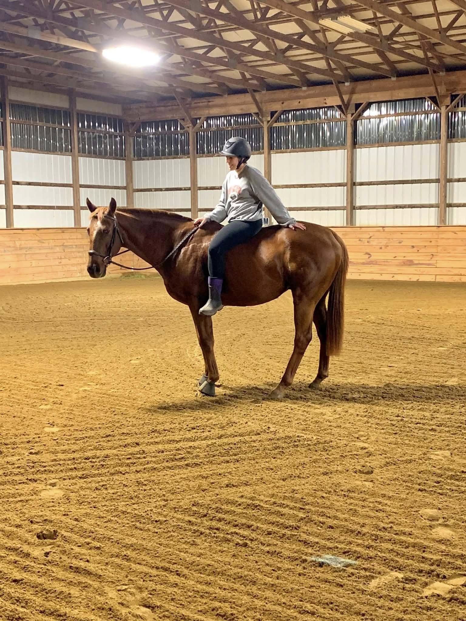 Enlarge Lucky, a Adopted Thoroughbred in Wall, NJ image 4/6
