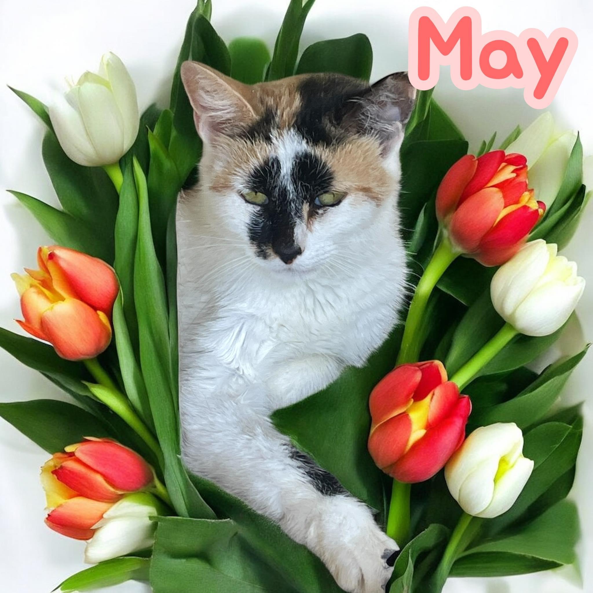 May