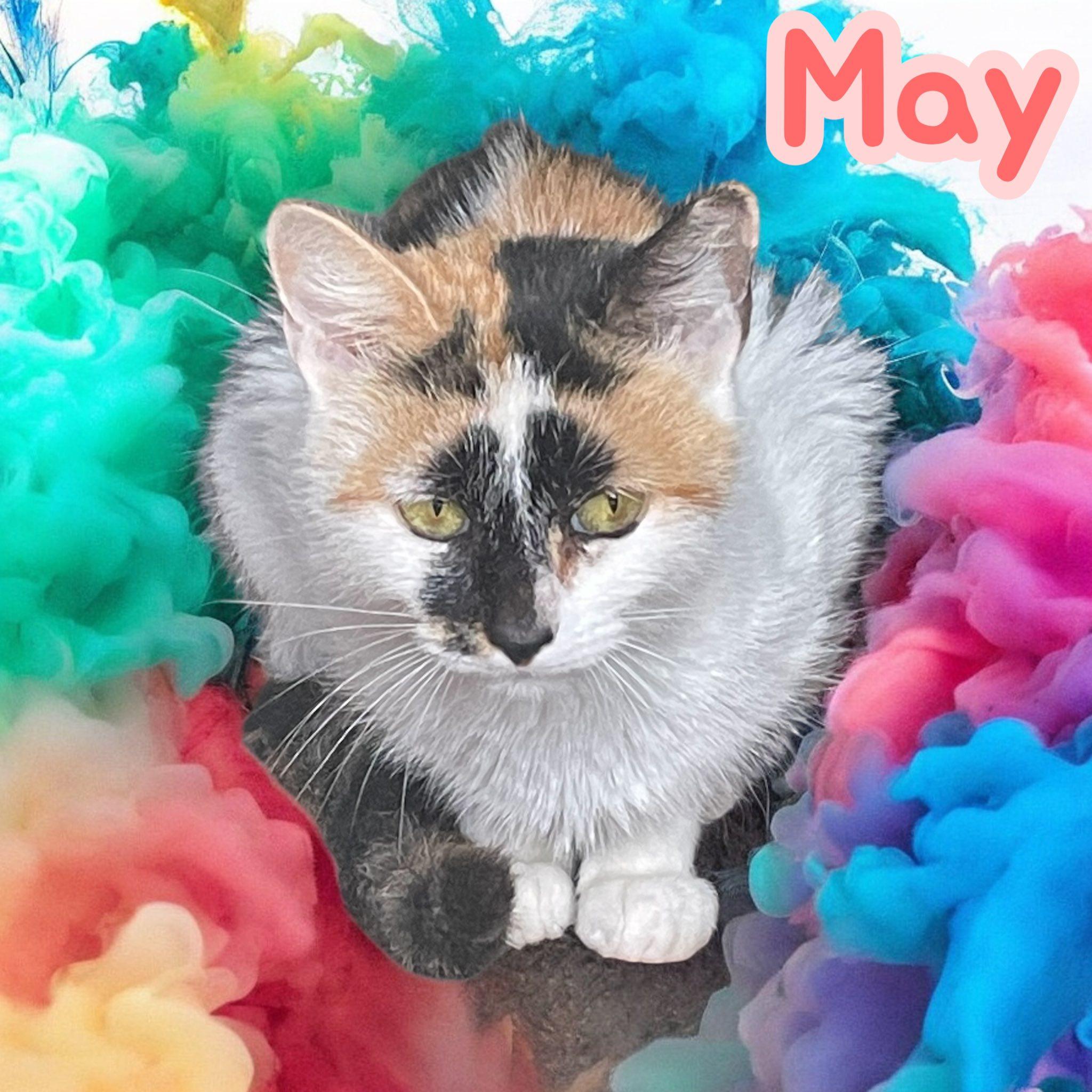 May