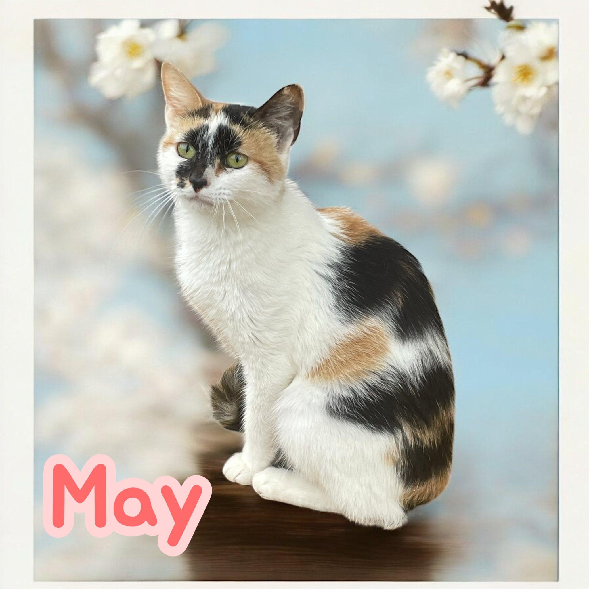 May
