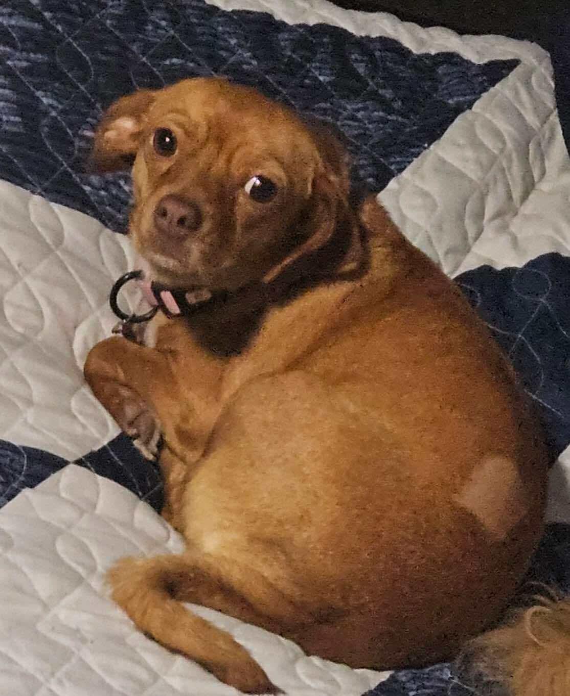 Penny photo 3