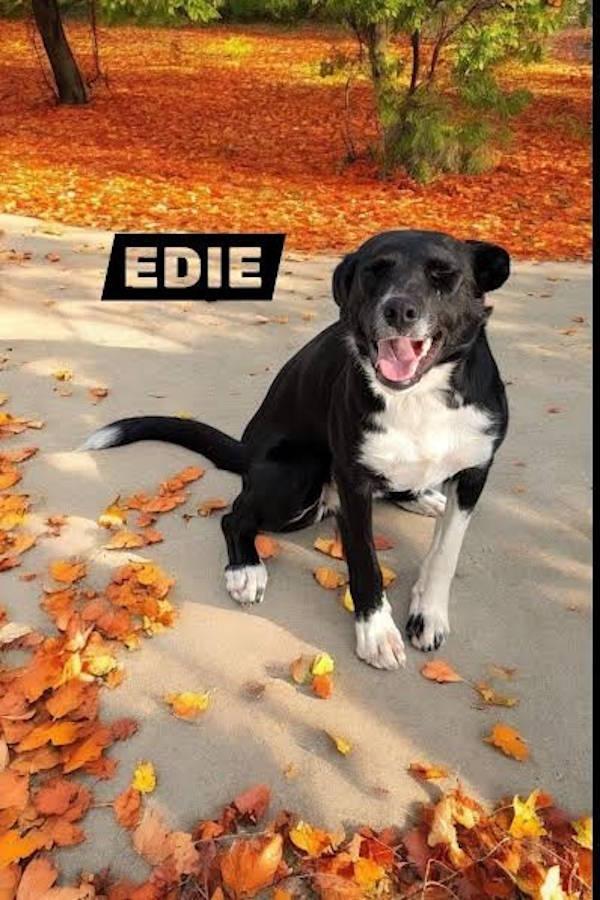 Edna aka Edie
