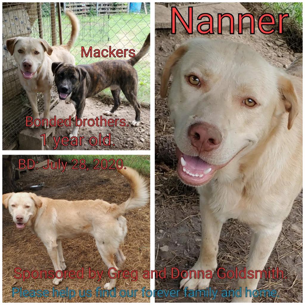 Nanner — thumbnail 2