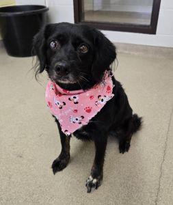 Trudy, Senior Female unknown