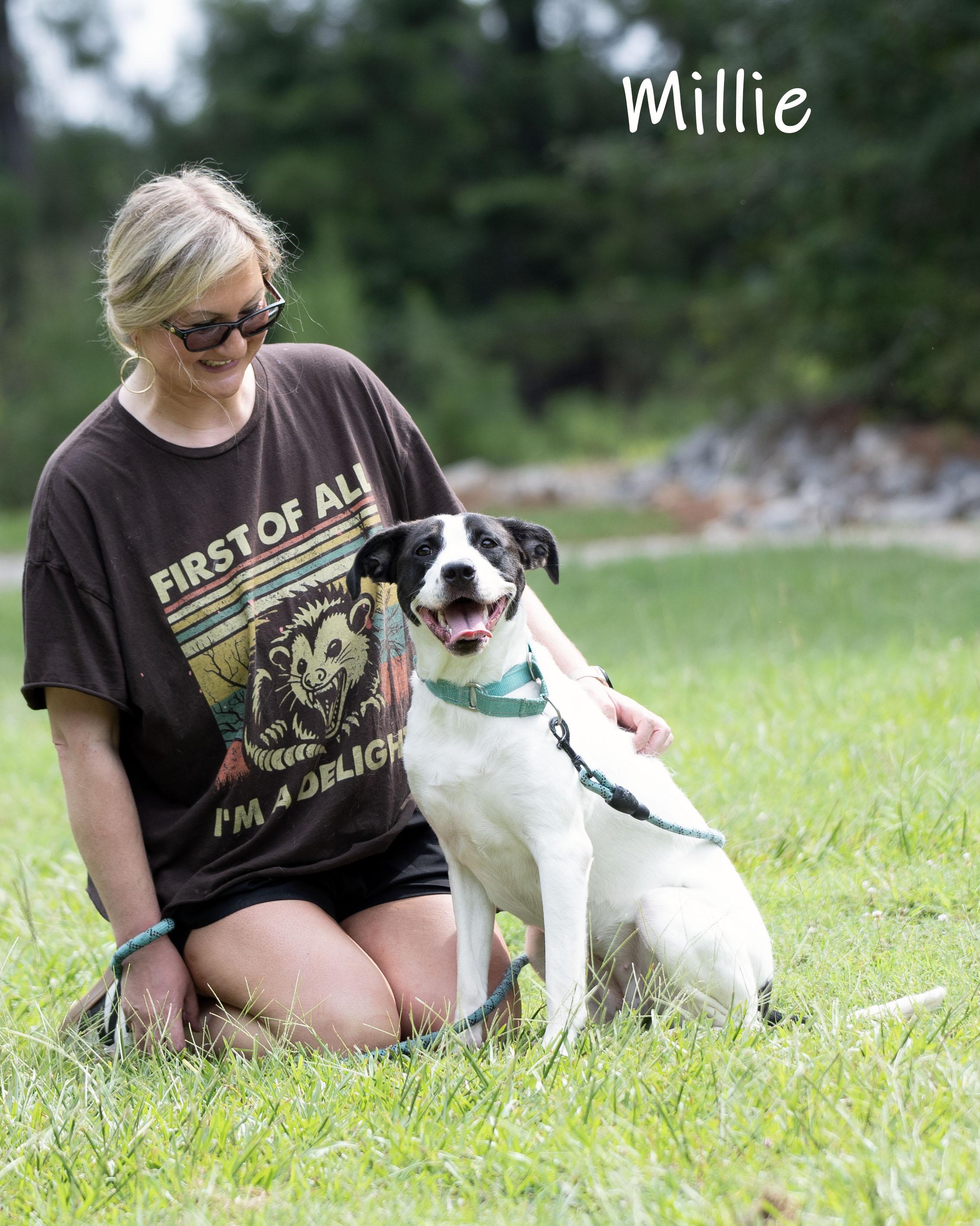 Enlarge Millie, an adoptable mixed breed in Bishop, GA image 2/6