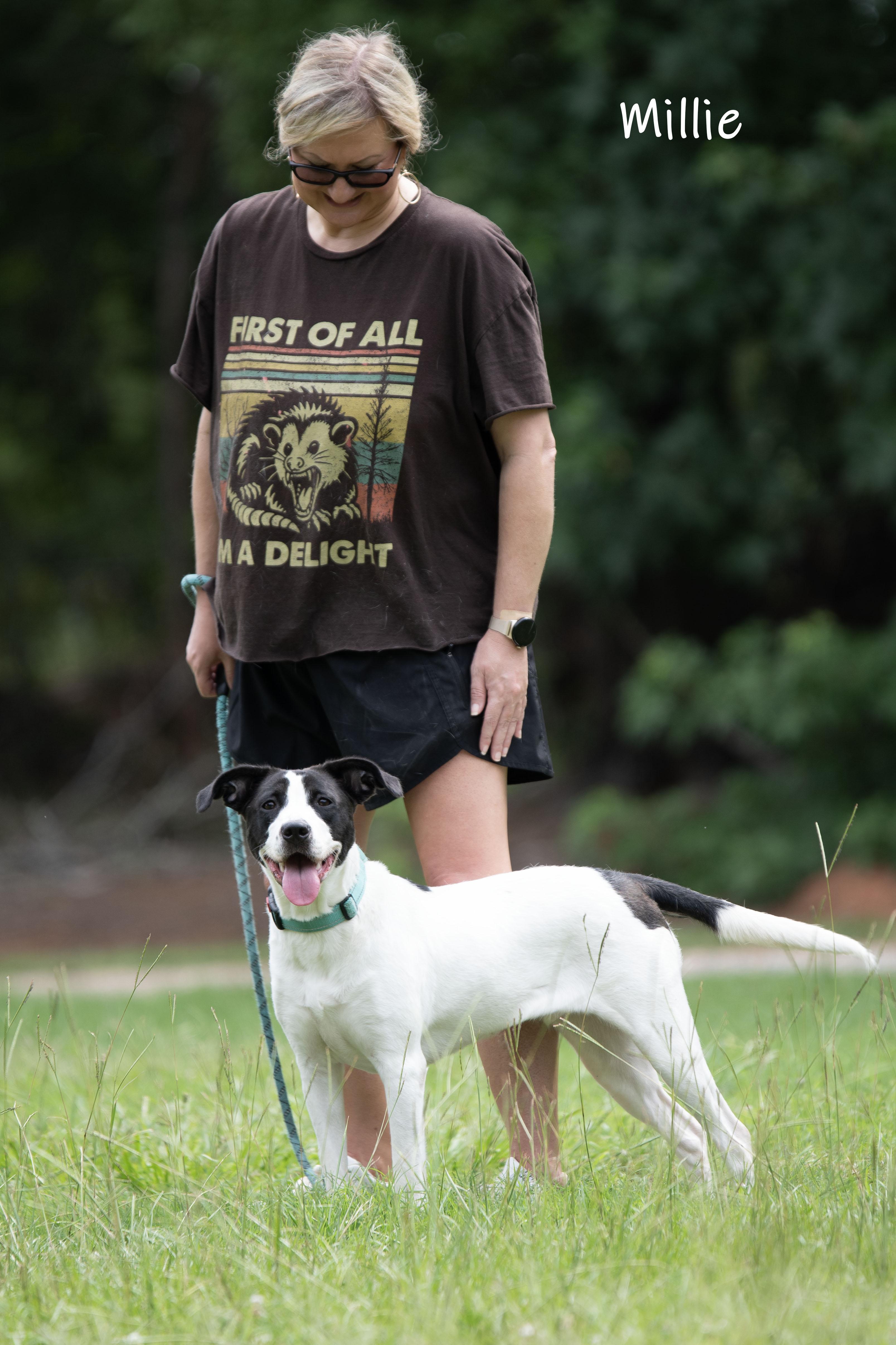 Enlarge Millie, an adoptable mixed breed in Bishop, GA image 6/6