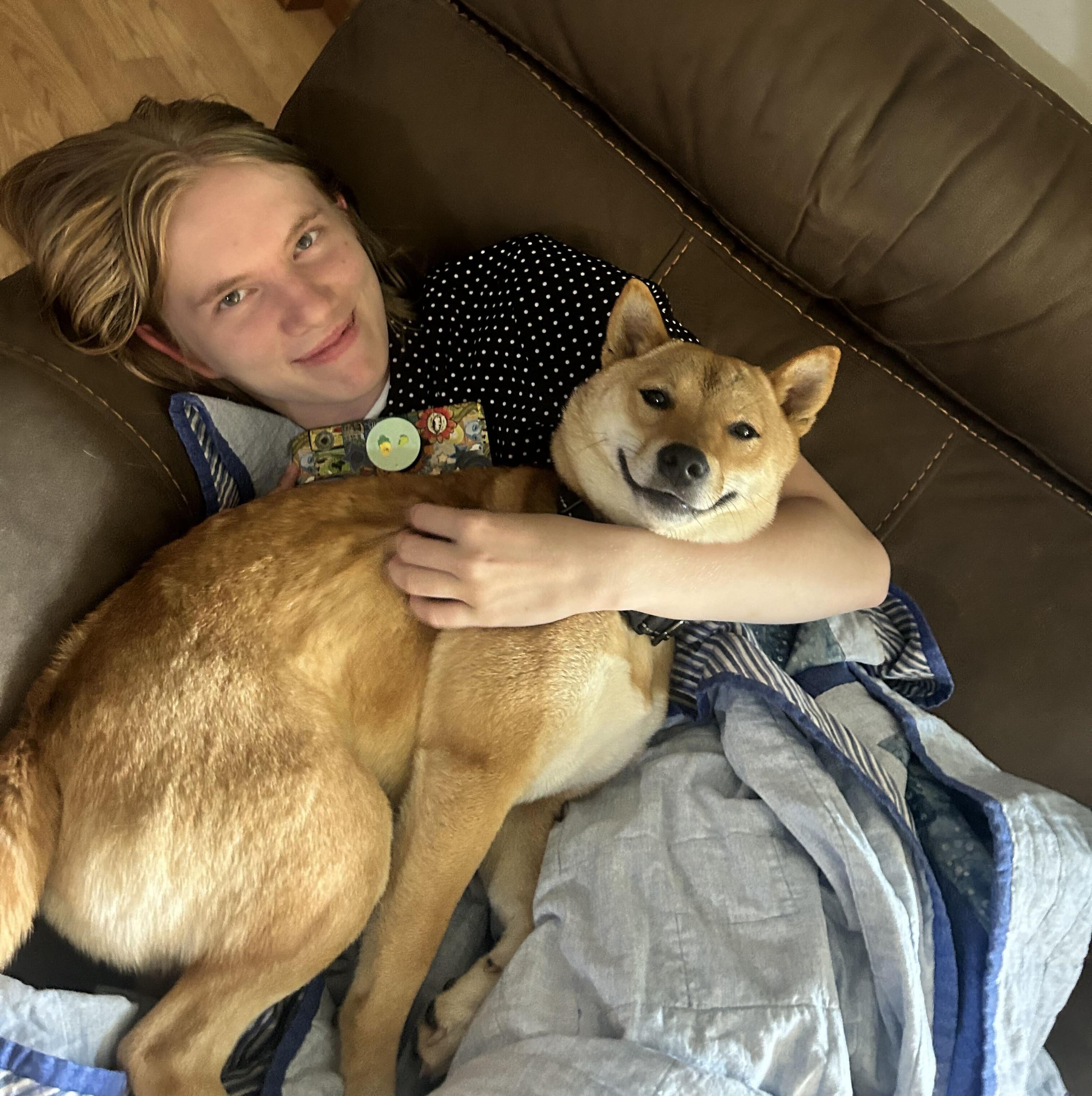 Enlarge Haven, a Adoptable Shiba Inu in Chicago, IL image 2/6
