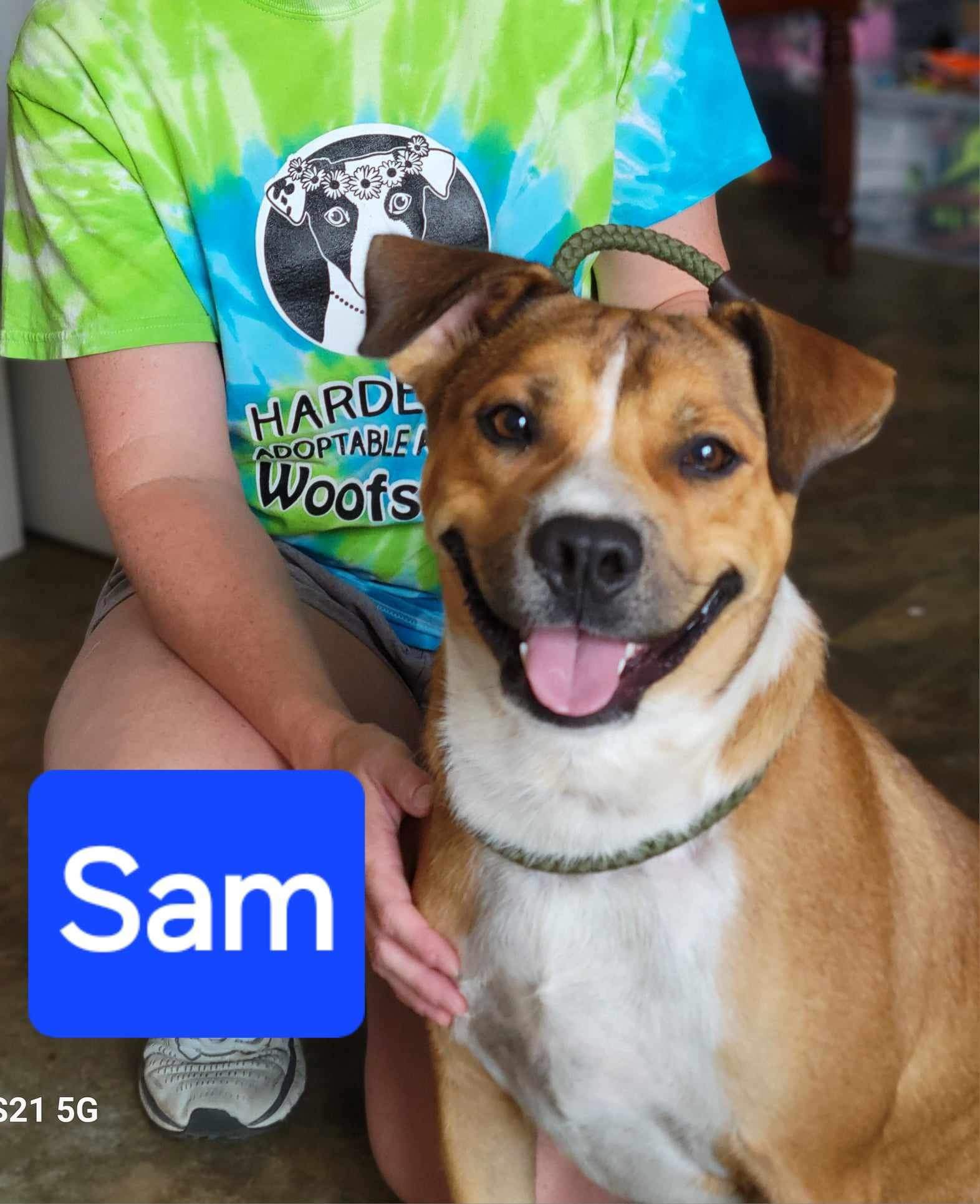 Enlarge "Smiling" Sam, an adoptable mixed breed in Bolivar, TN image 2/2