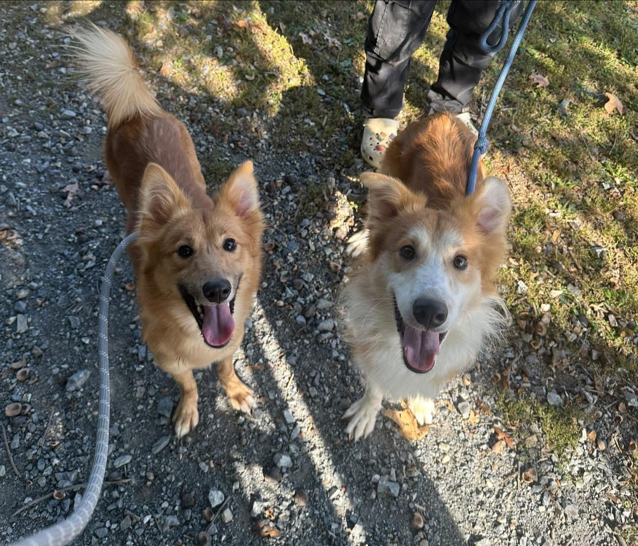 Tinkerbell and Peter Pan