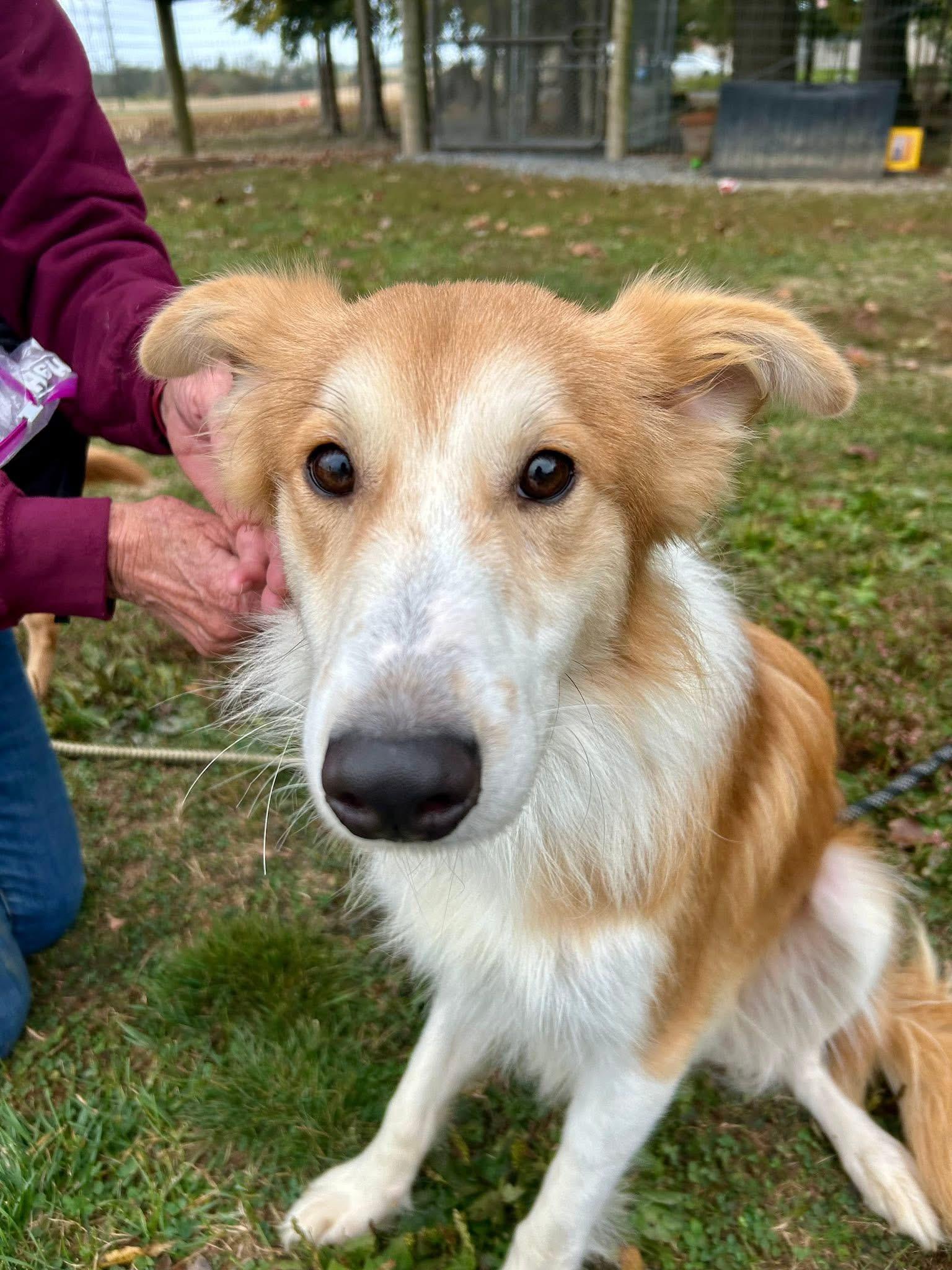 Tinkerbell and Peter Pan