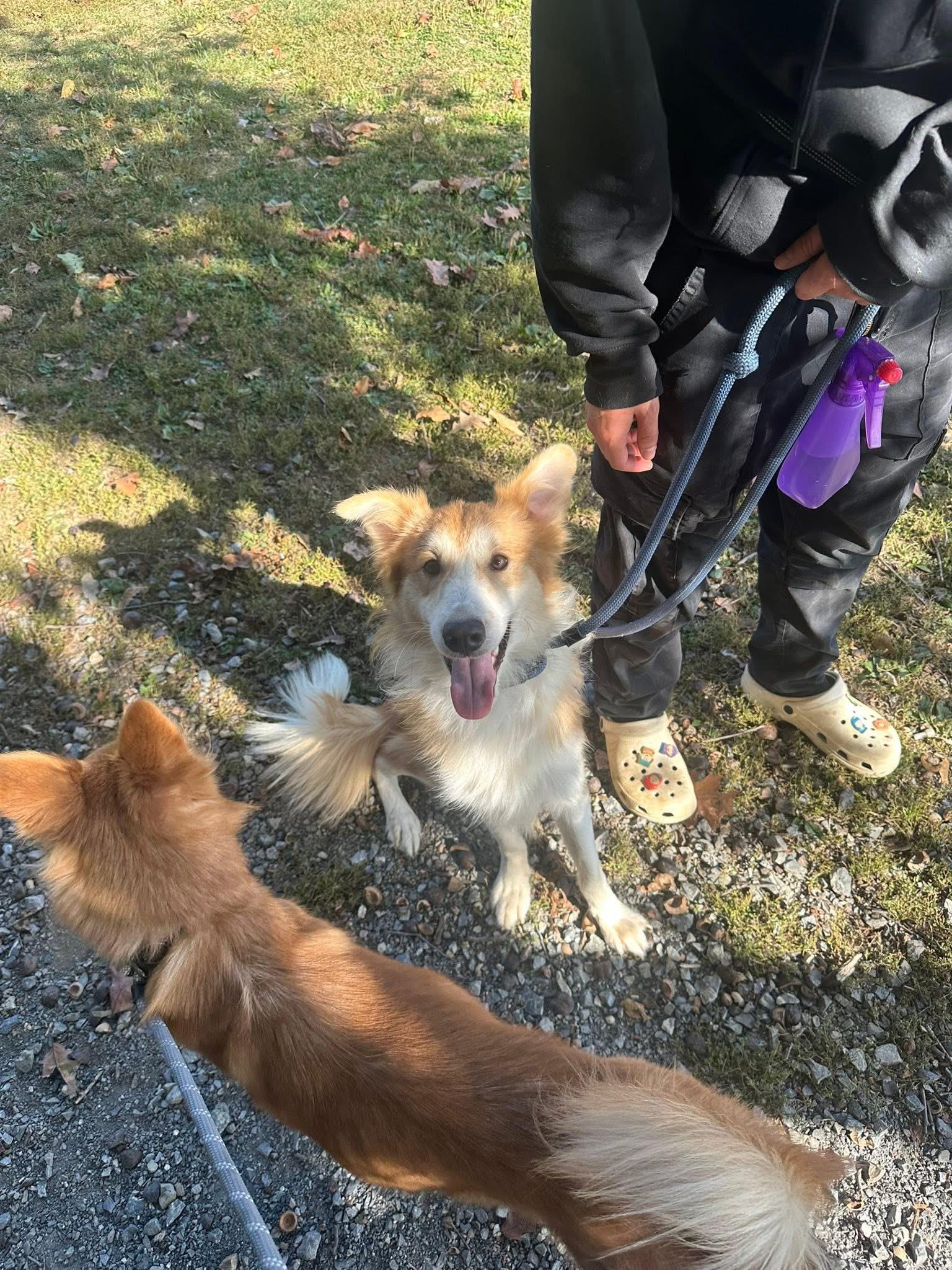 Tinkerbell and Peter Pan