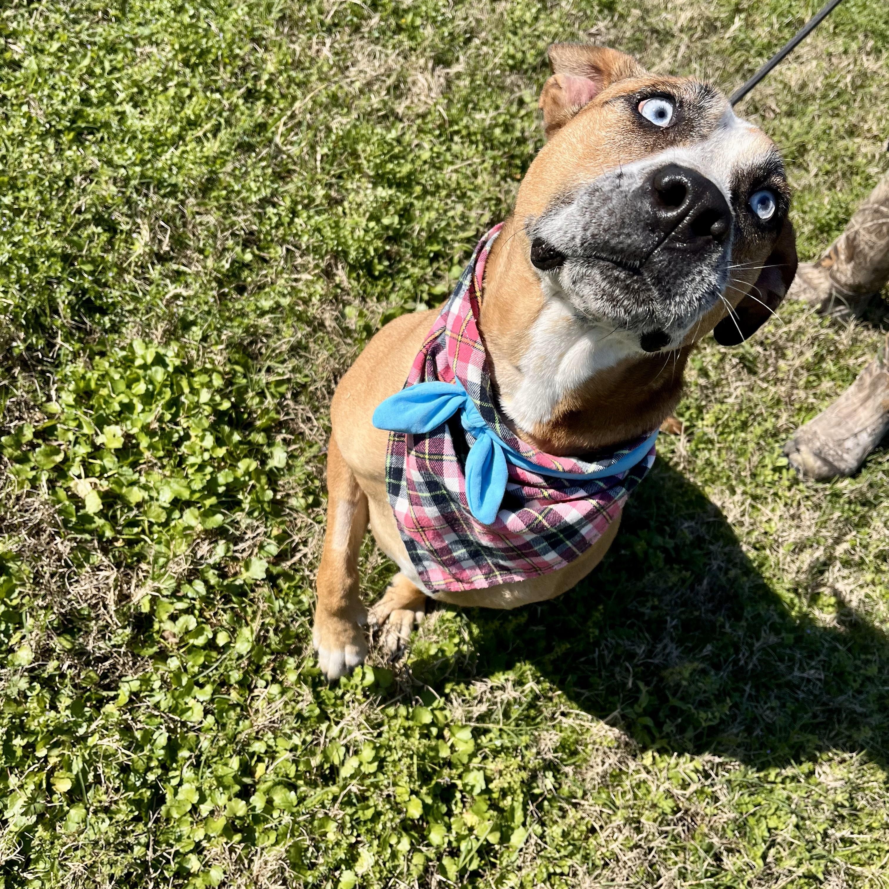 Ember — thumbnail 3