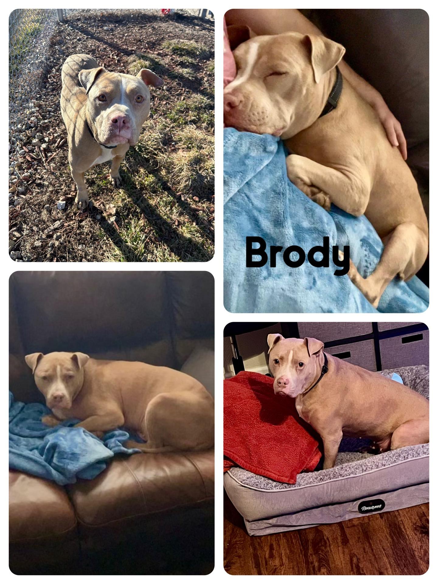 BRODY (SC) photo 5