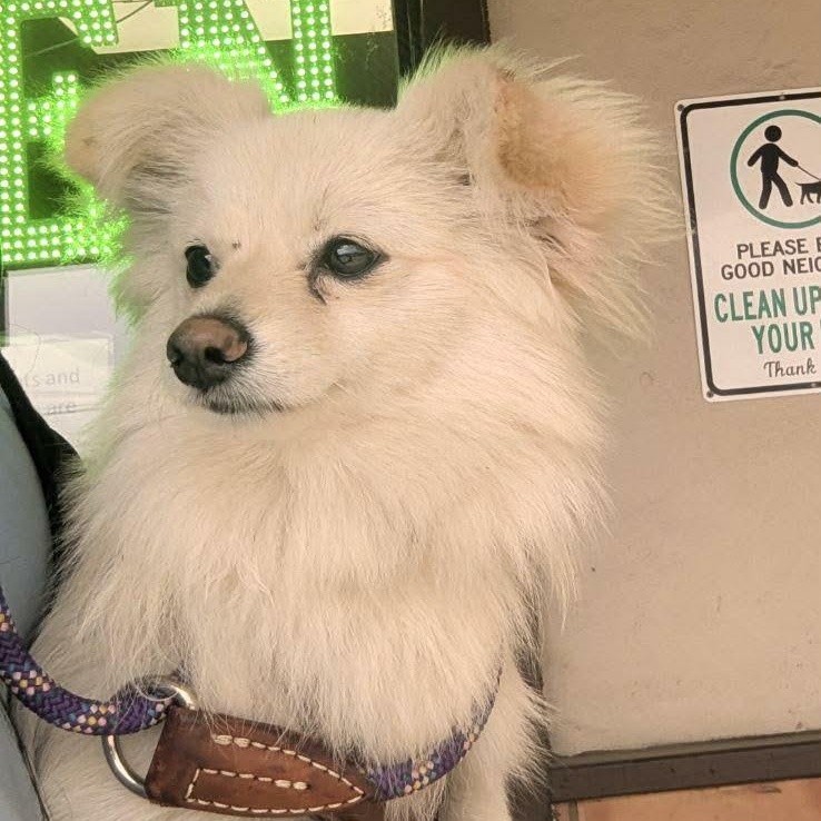 Kekoa — thumbnail 2