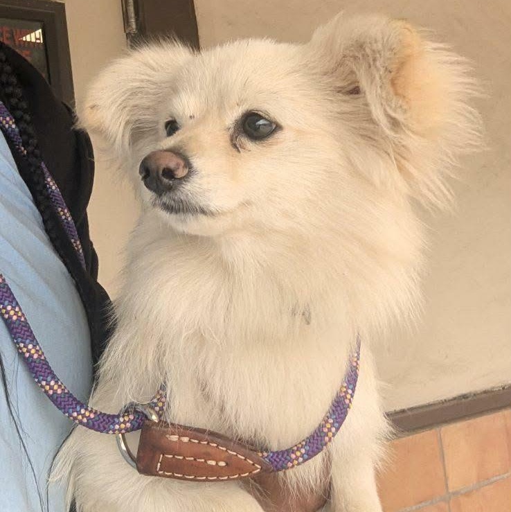 Kekoa — thumbnail 3