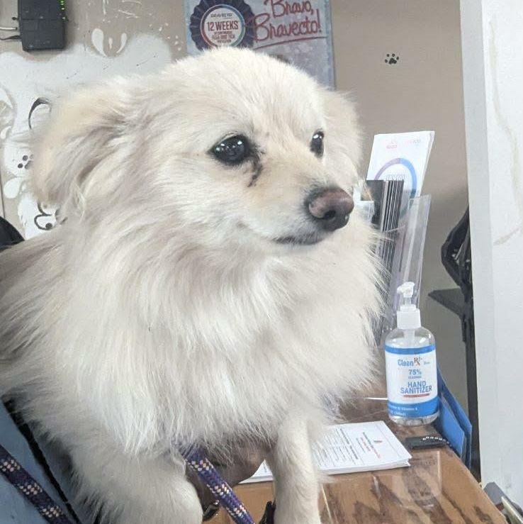 Kekoa — thumbnail 4