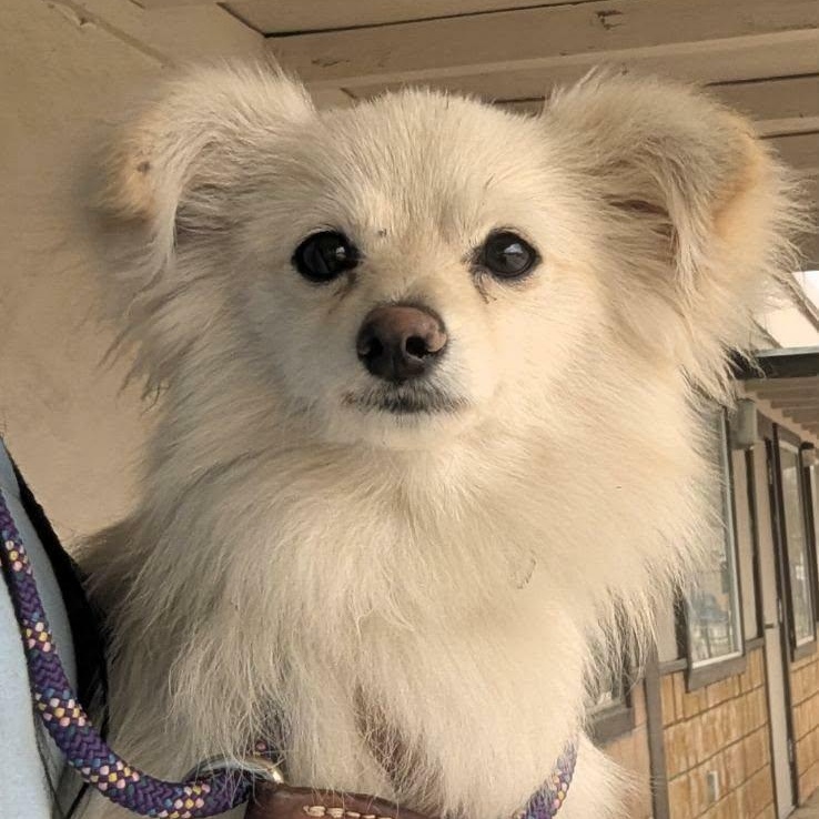 Kekoa — thumbnail 6