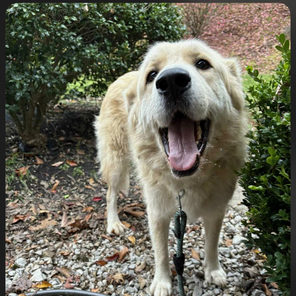 Skinny Vinny thumbnail 4