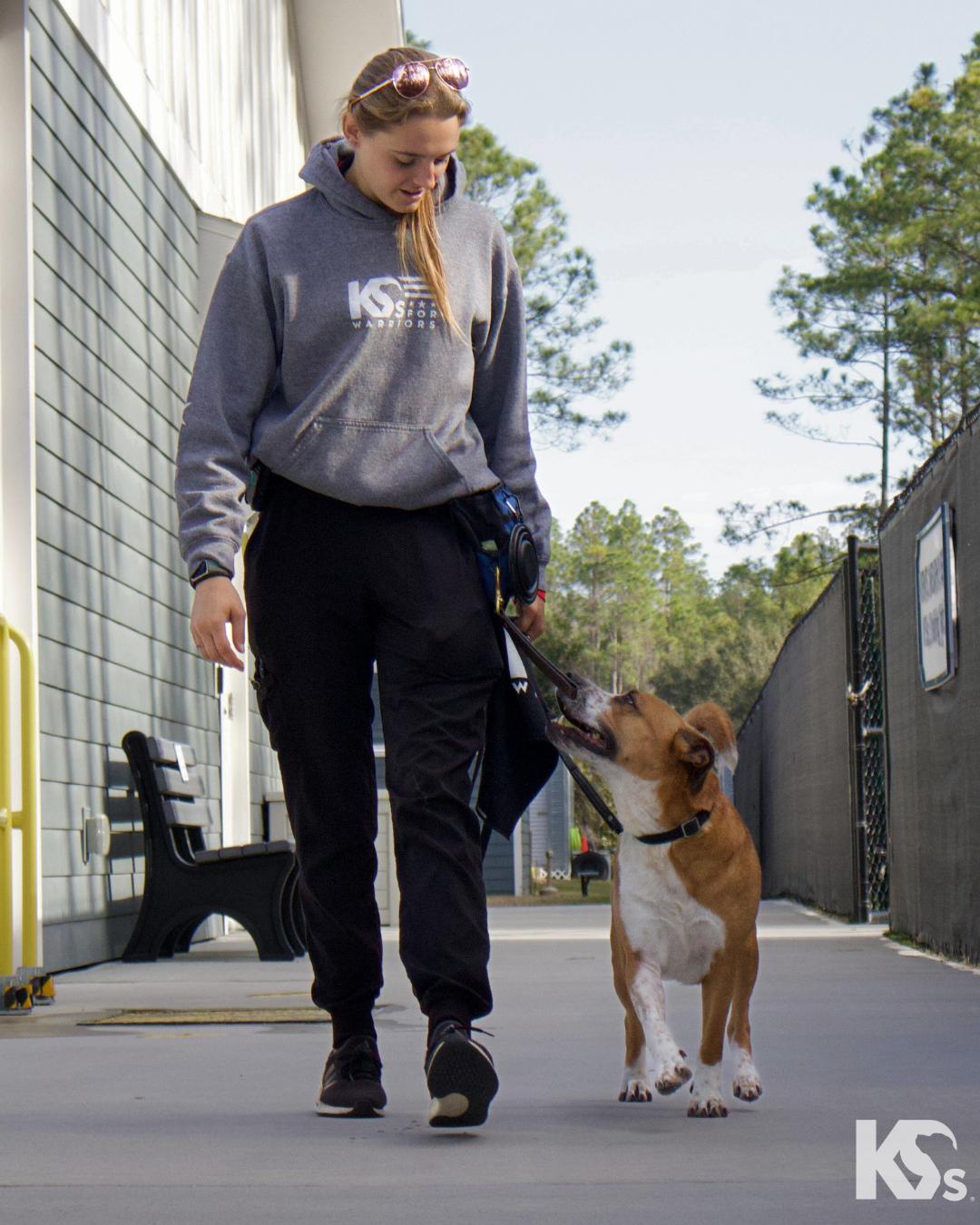 Enlarge Yukon, a ADOPTABLE mixed breed in Ponte Vedra, FL image 4/4