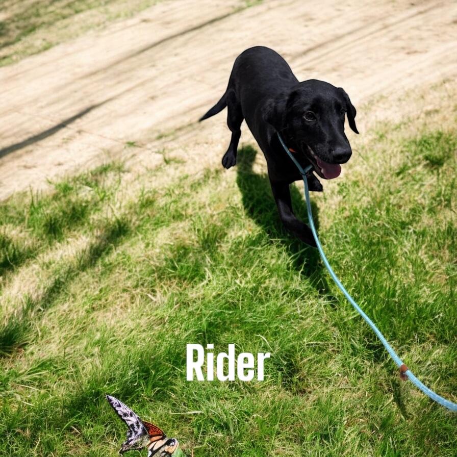 Rider thumbnail 2