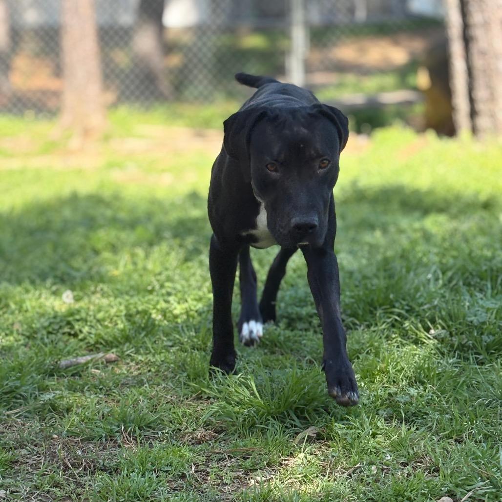 Pippa — thumbnail 4