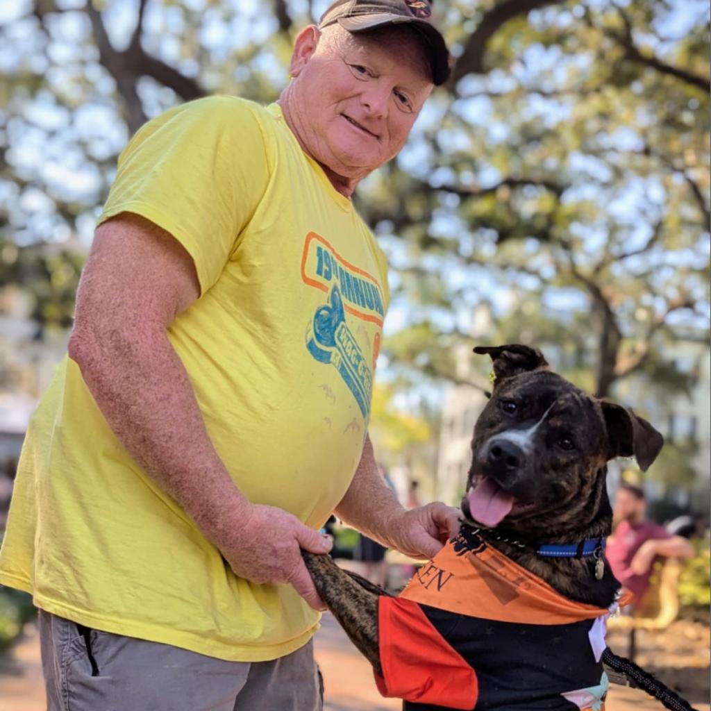Enlarge BK, a Adoptable mixed breed in Savannah, GA image 2/6