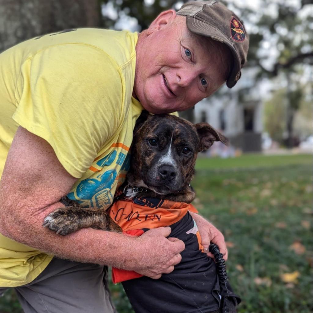 Enlarge BK, a Adoptable mixed breed in Savannah, GA image 5/6