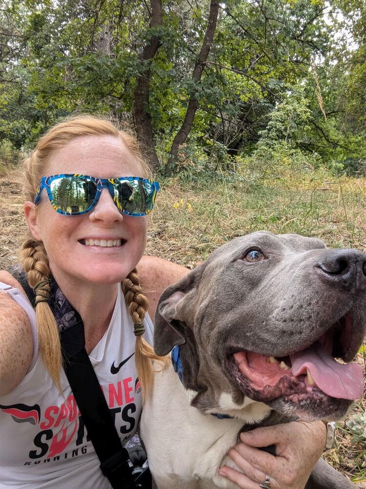 Hank (Eeyore), a Adoptable mixed breed in Tigard, OR image 2/5