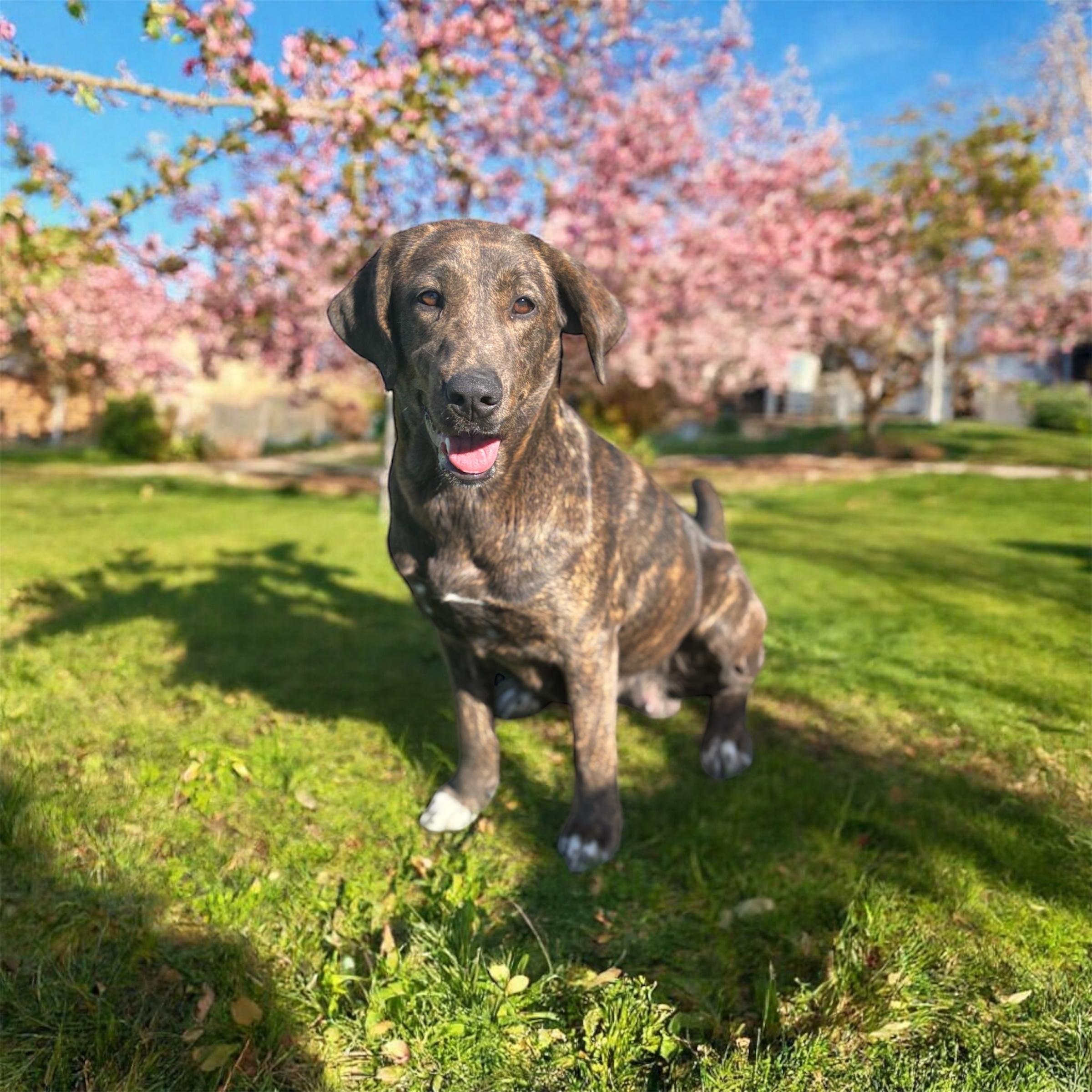 Suzie
