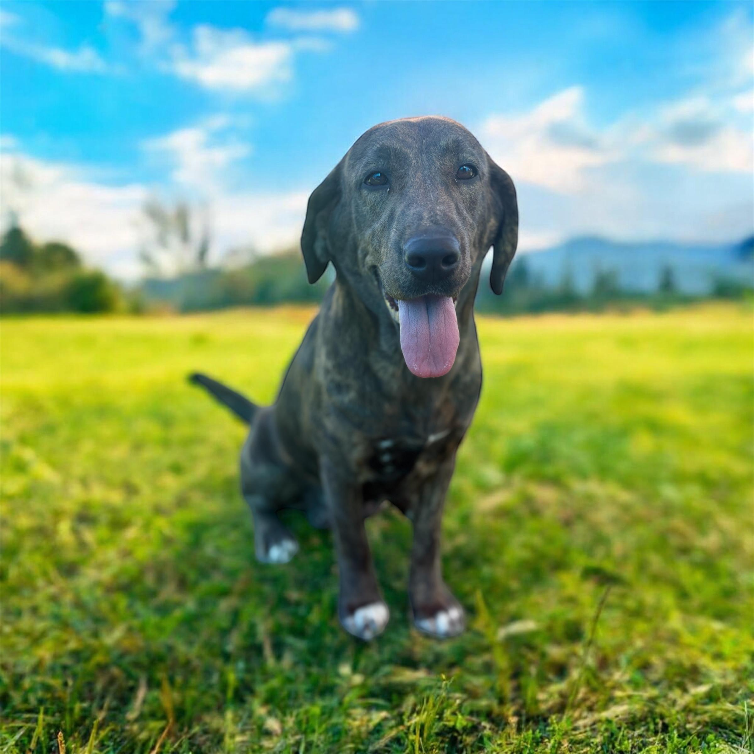 Suzie