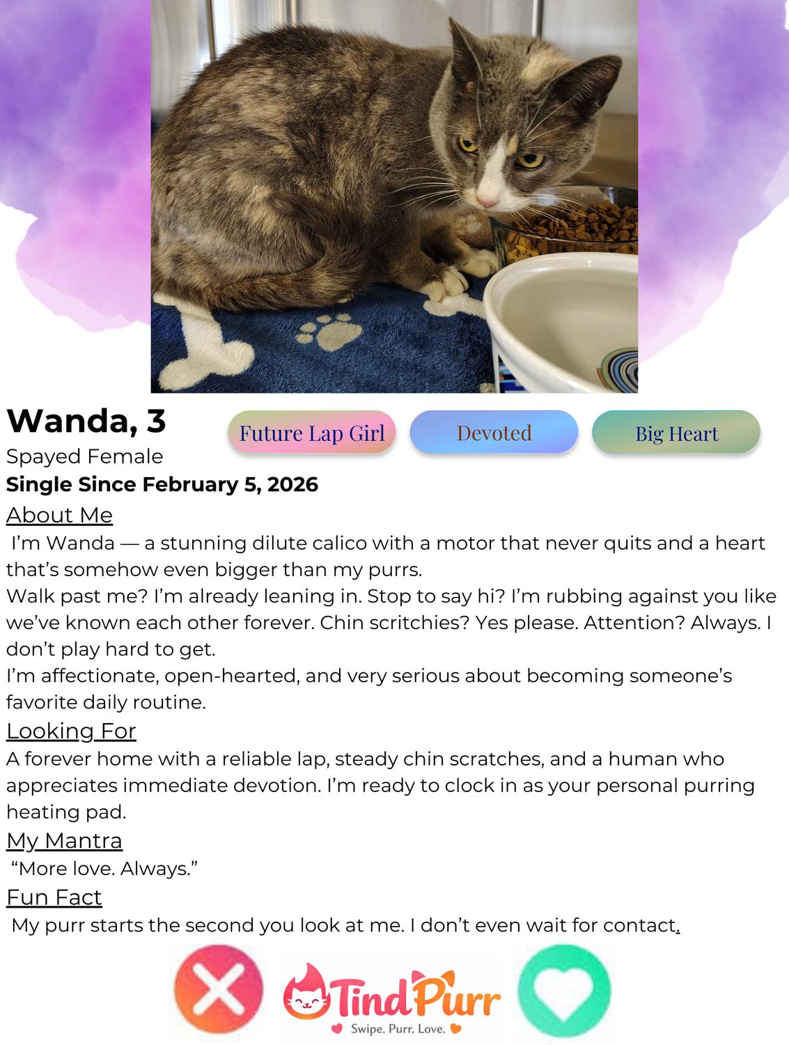 Wanda — thumbnail 2