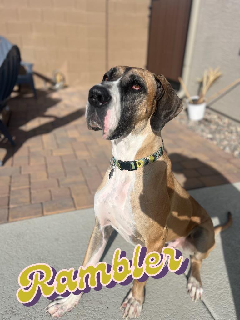 Rambler