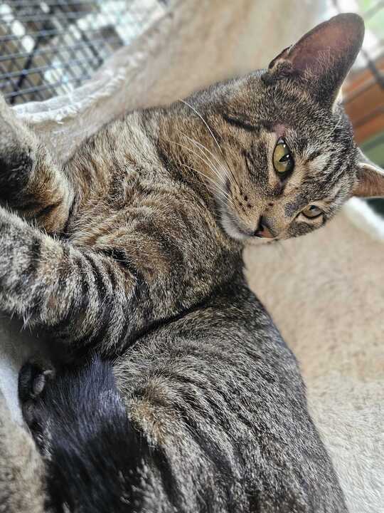 Jethro