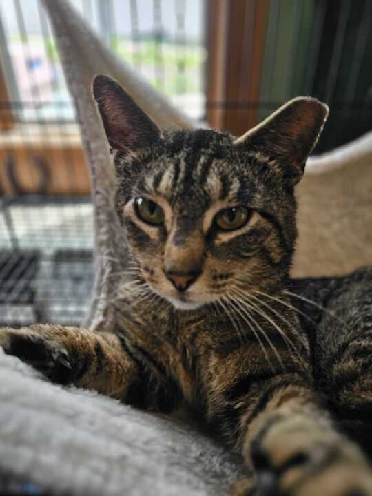 Jethro
