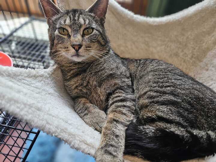 Jethro