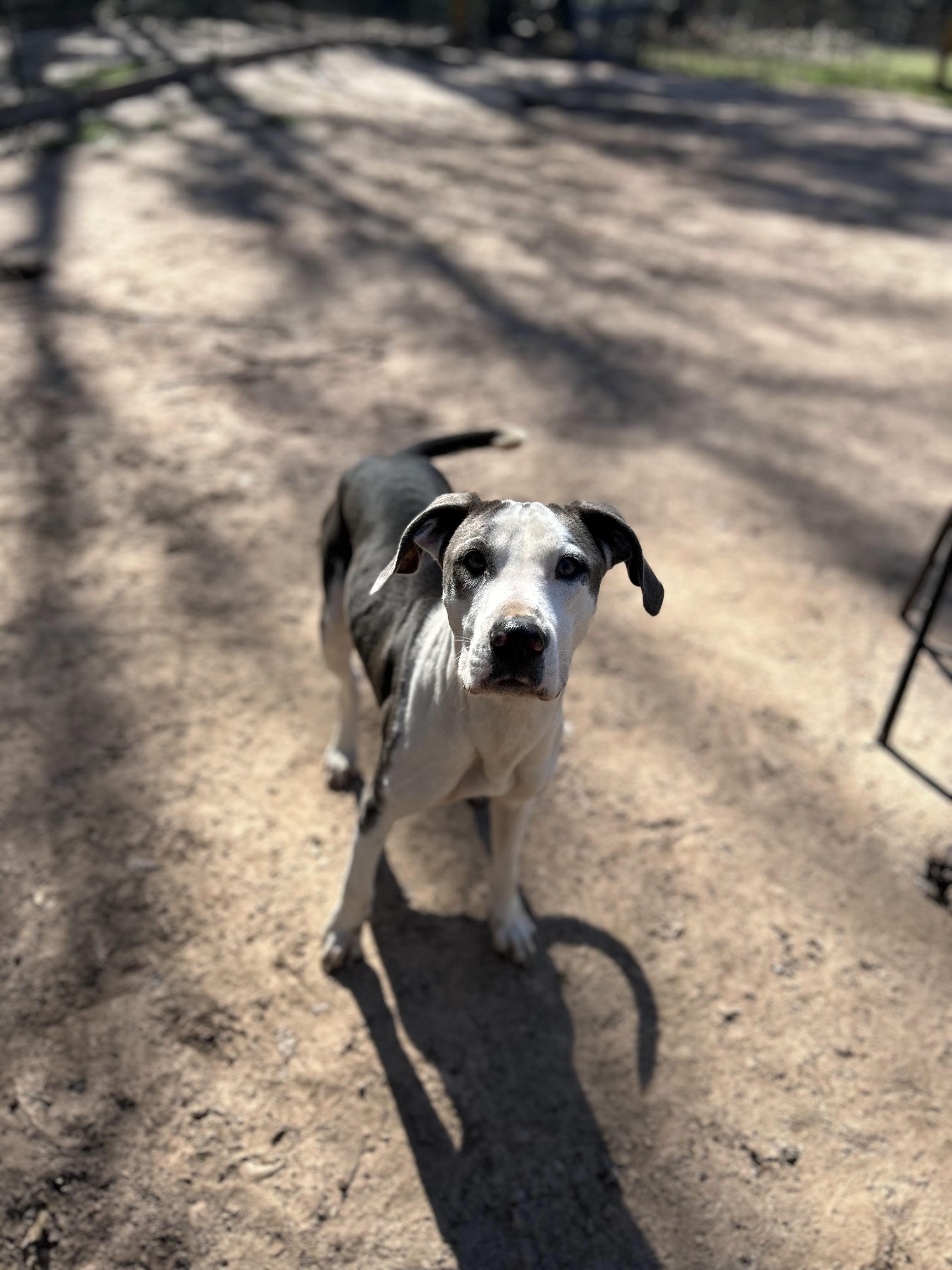 Lucy photo 2