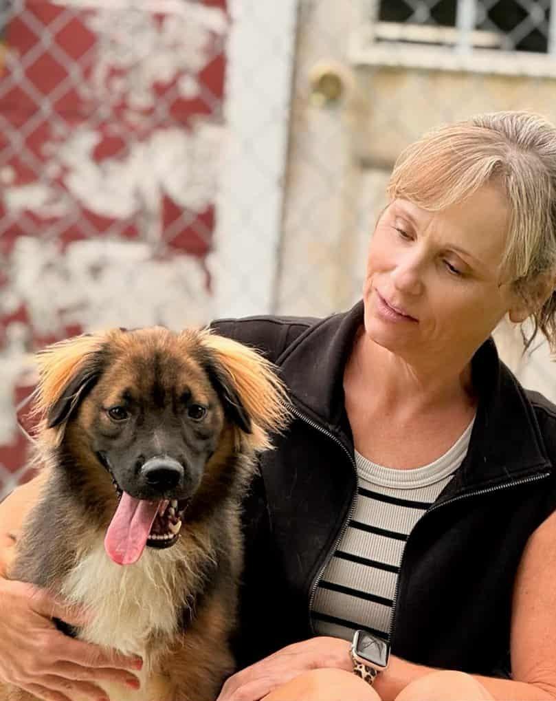 Enlarge Fleetwood (Courtesy post), a Adoptable mixed breed in Ellicott City, MD image 3/6